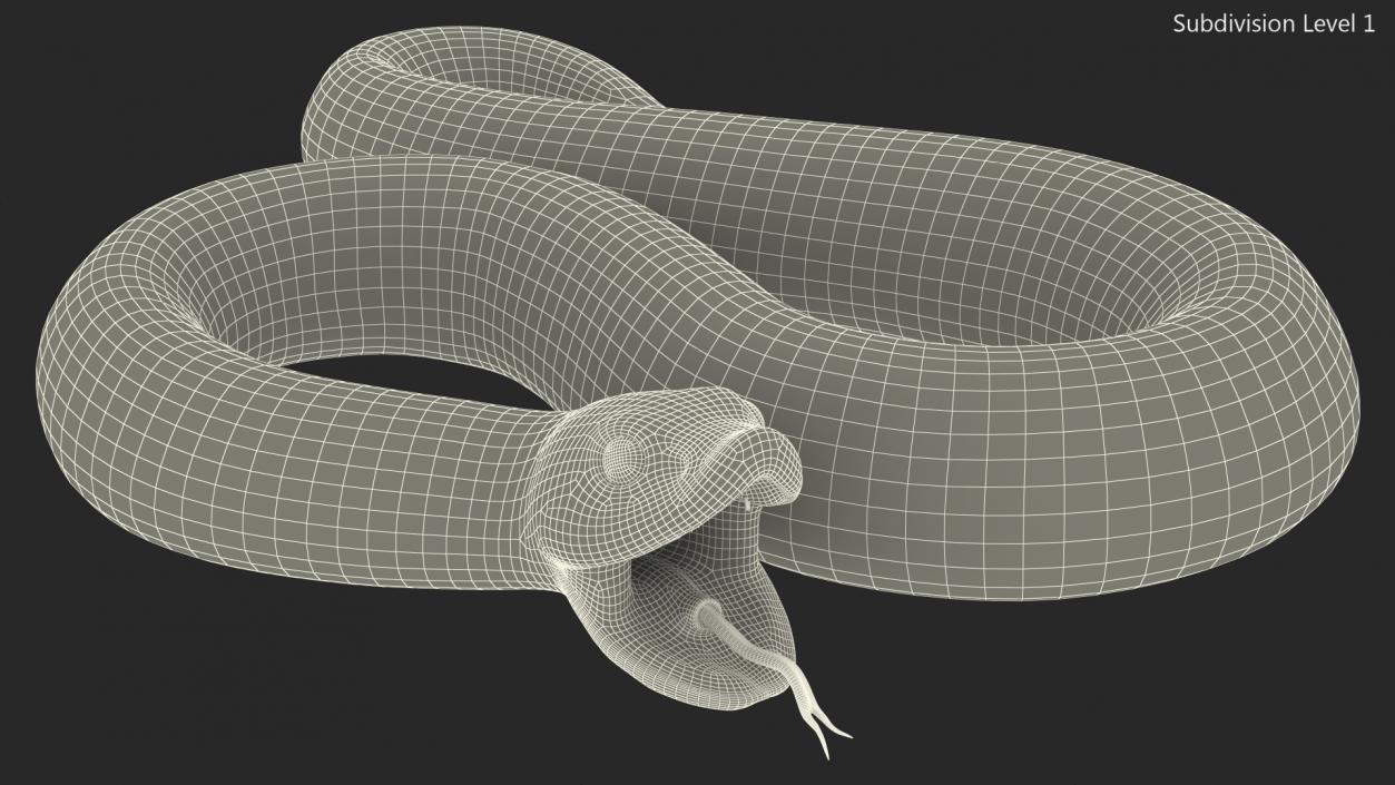 3D Brown Hognose Snake Attack Pose