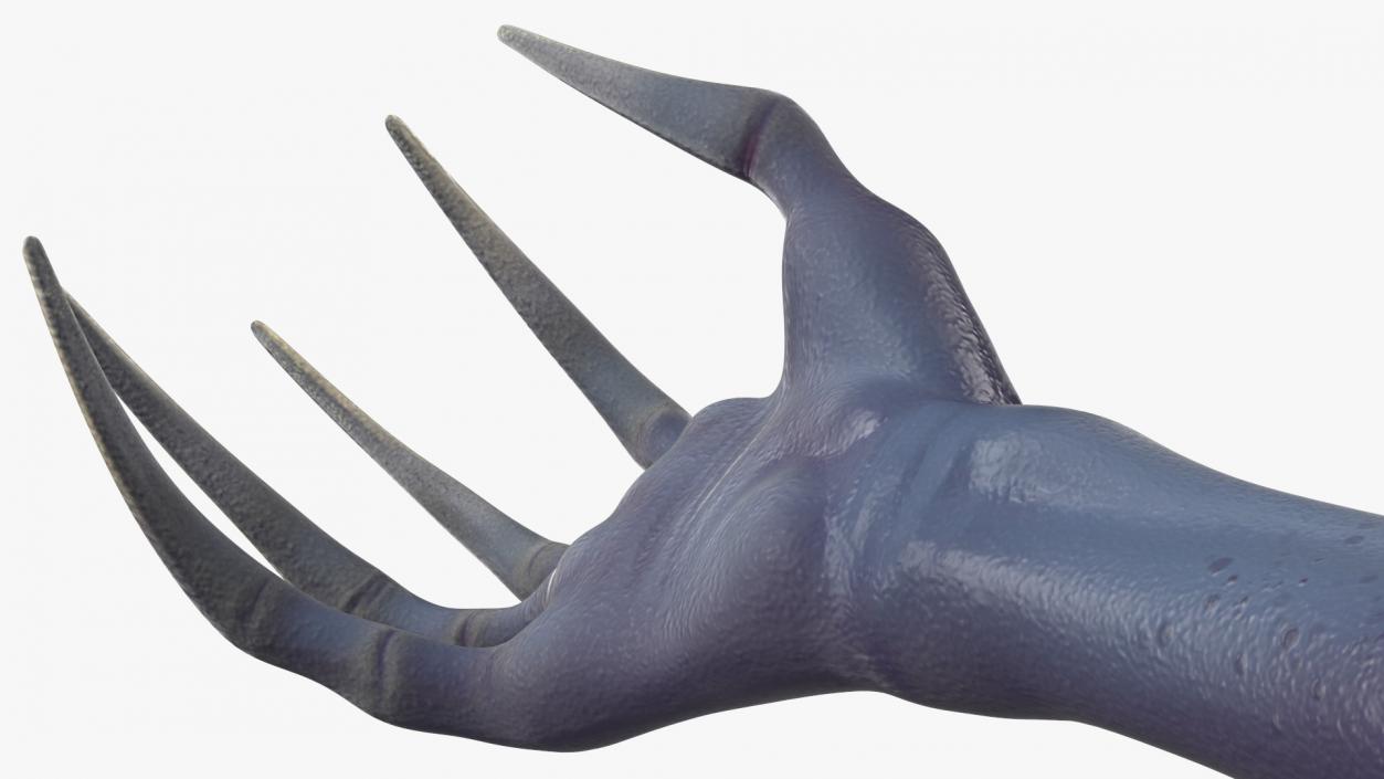 3D Scary Creature Arm model