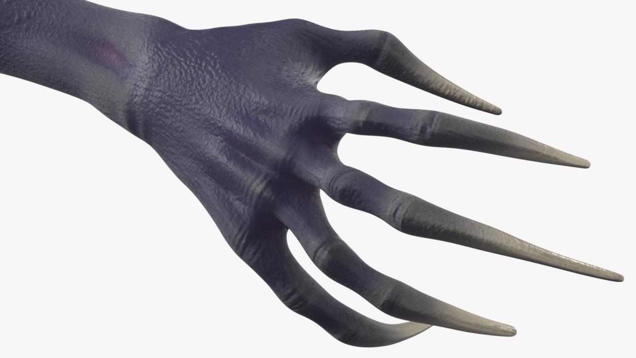 3D Scary Creature Arm model