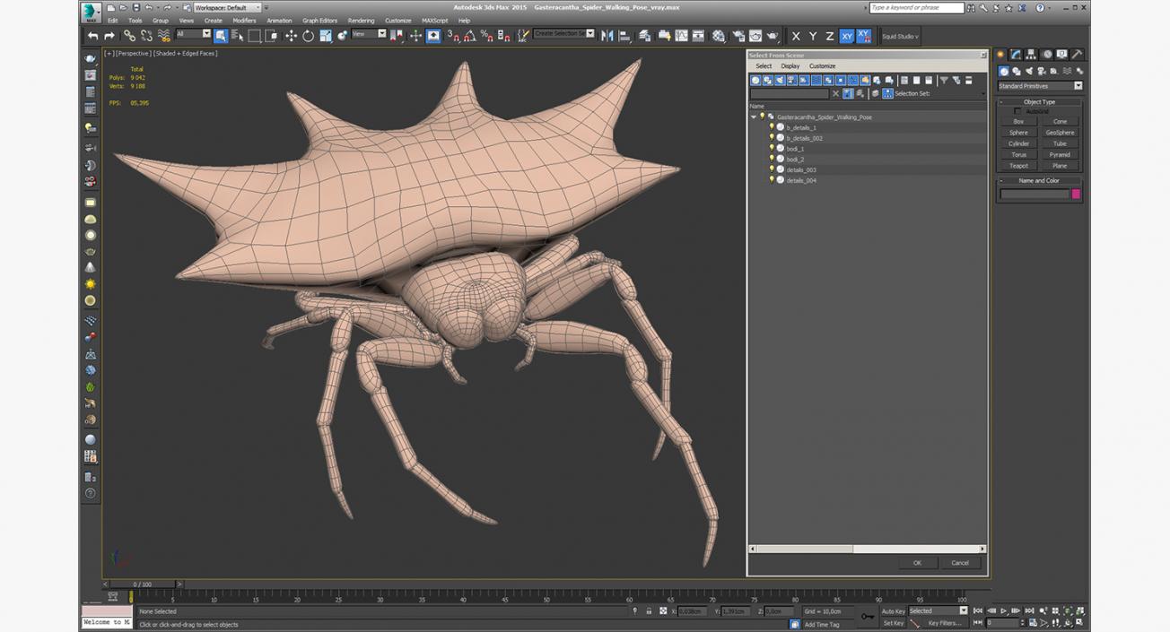 3D Gasteracantha Spider Walking Pose model