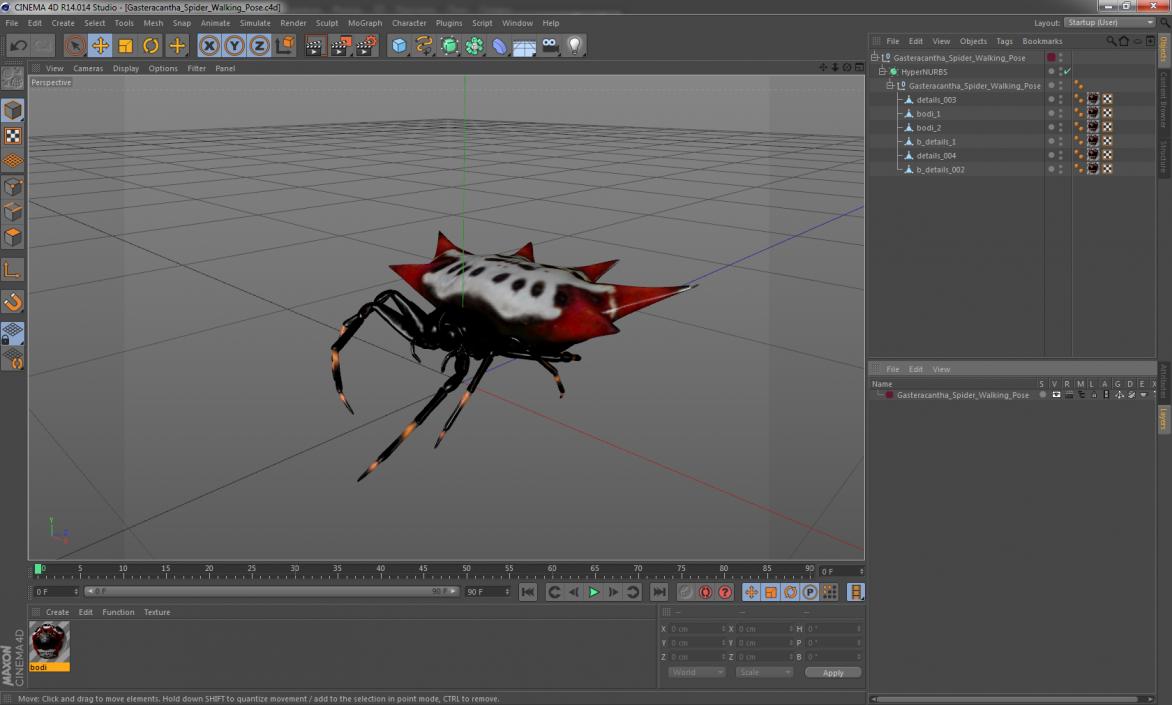 3D Gasteracantha Spider Walking Pose model