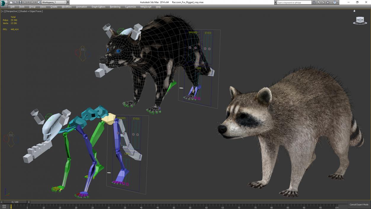 3D Raccoon Fur Rigged model