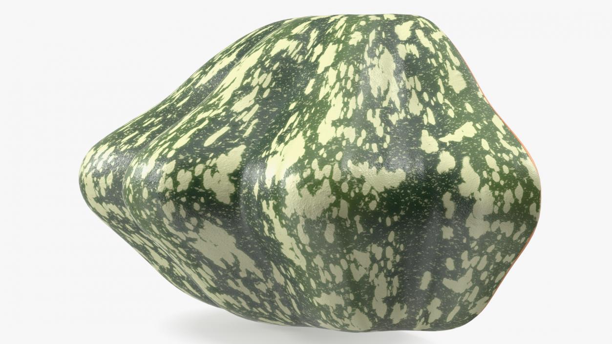 3D Half of Bush Pumpkin Green