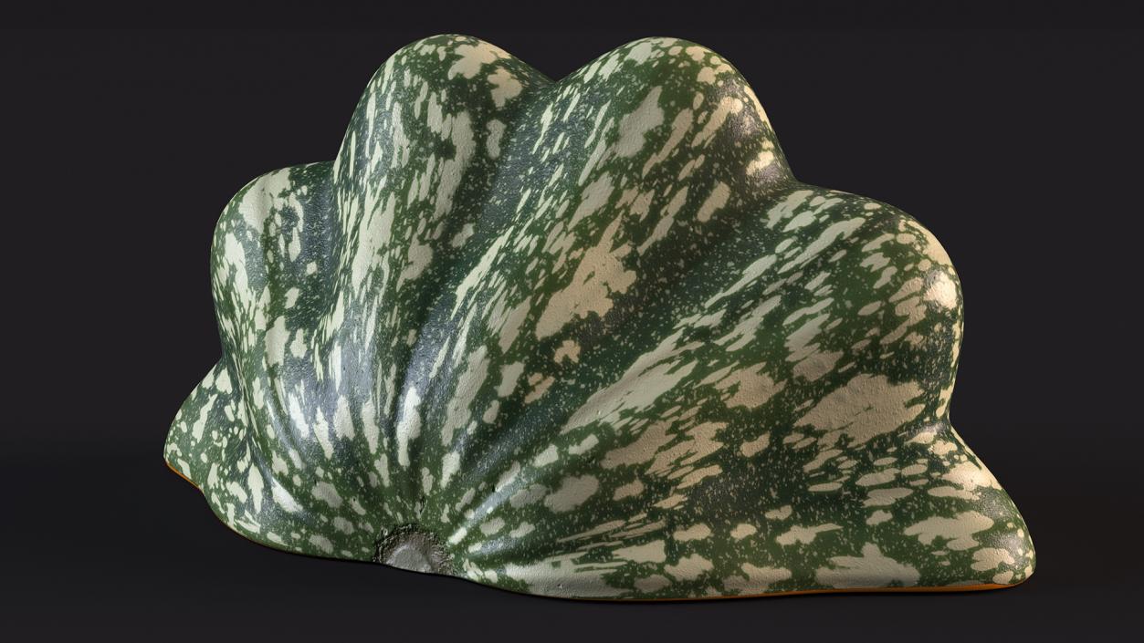 3D Half of Bush Pumpkin Green