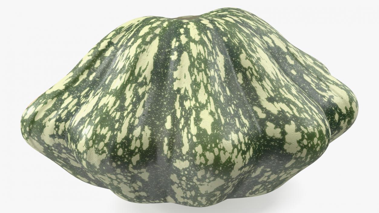 3D Half of Bush Pumpkin Green