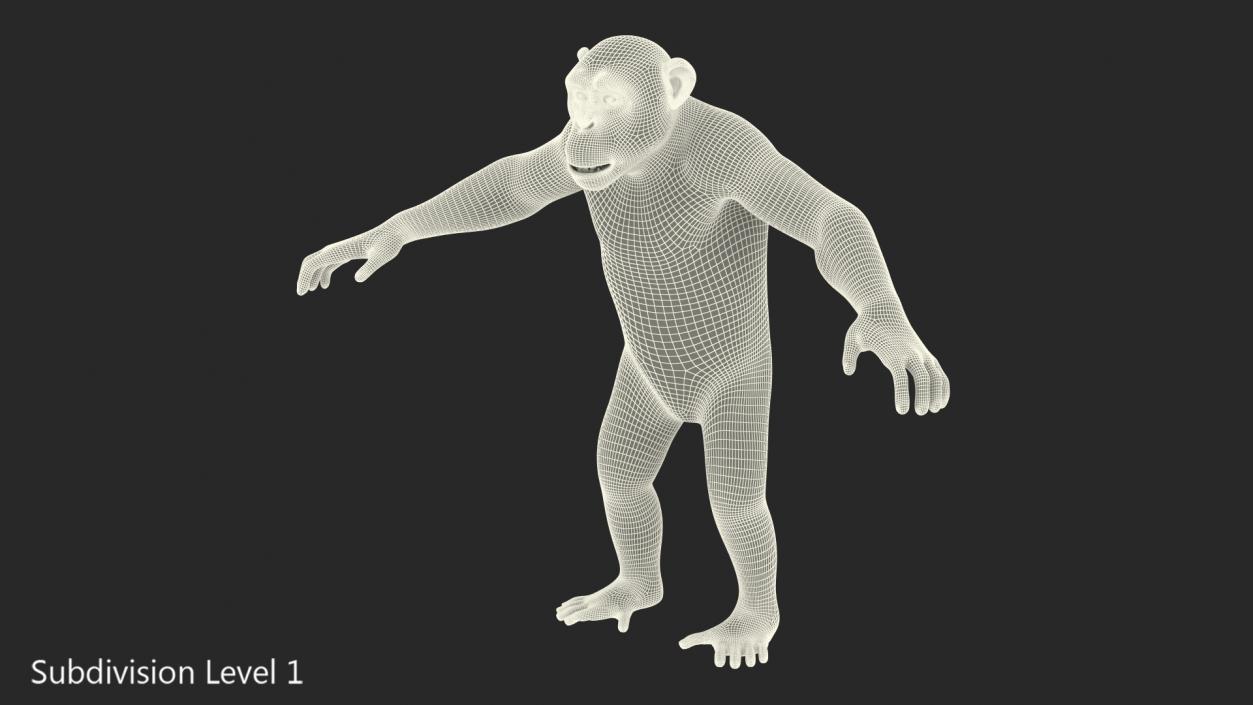 3D Light Chimpanzee