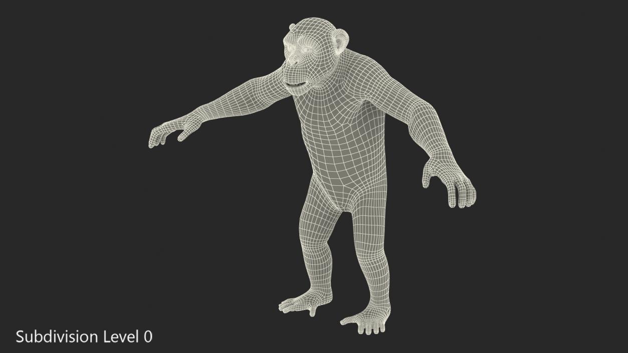 3D Light Chimpanzee