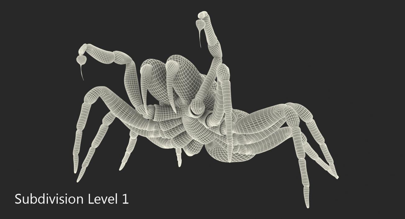 3D model Mouse Spider Fighting Pose with Fur