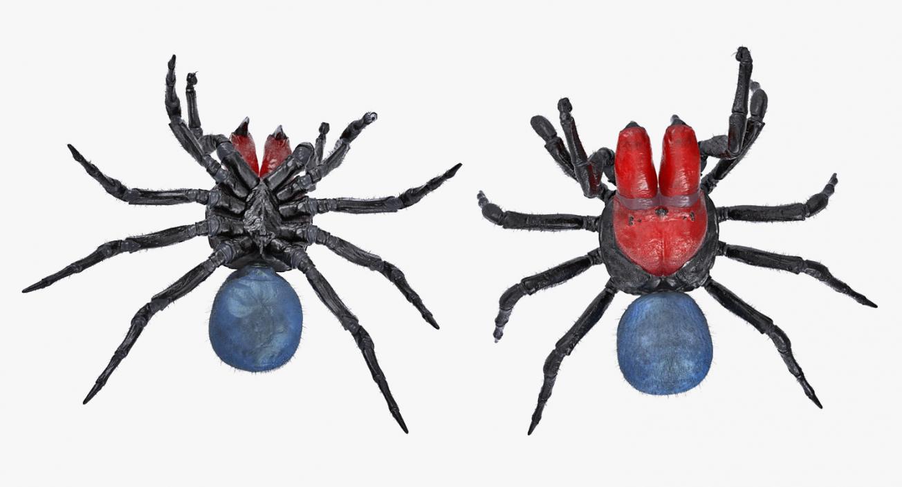 3D model Mouse Spider Fighting Pose with Fur