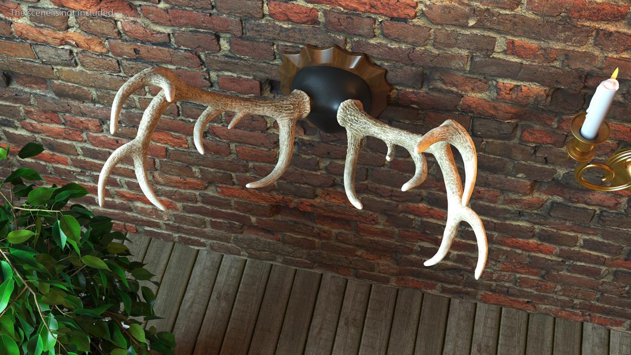 Red Deer Stag Antlers on a Wall Mount 3D