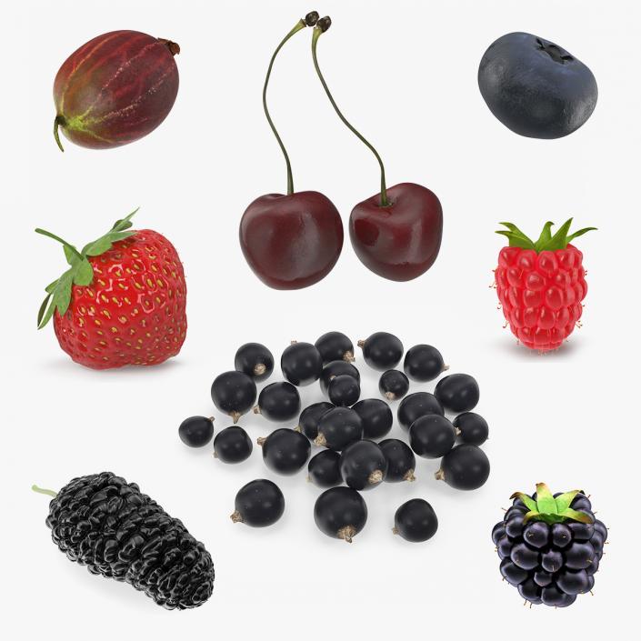 3D model Berries Collection 3