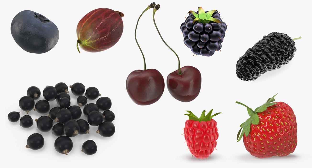 3D model Berries Collection 3