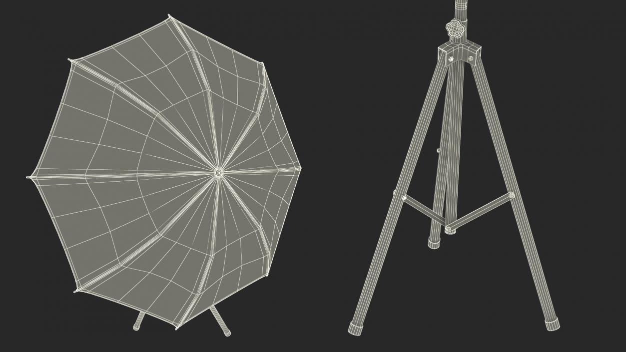 3D Photography Studio Umbrella Light model