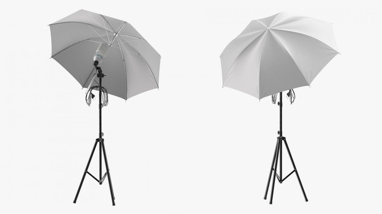 3D Photography Studio Umbrella Light model