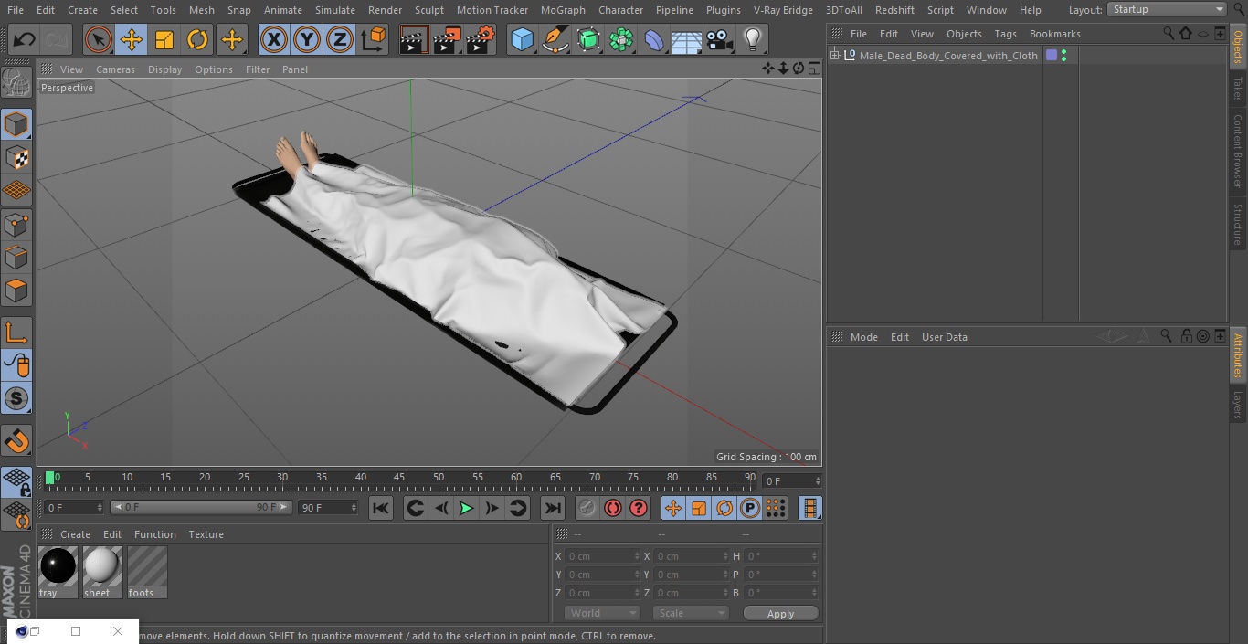 3D Male Dead Body Covered with Cloth model