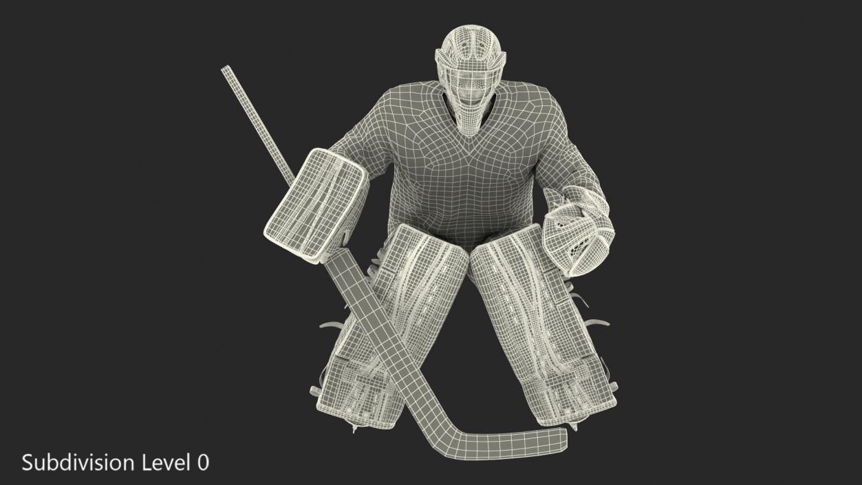 Hockey Goalkeeper Fully Equipped Rigged 3D model