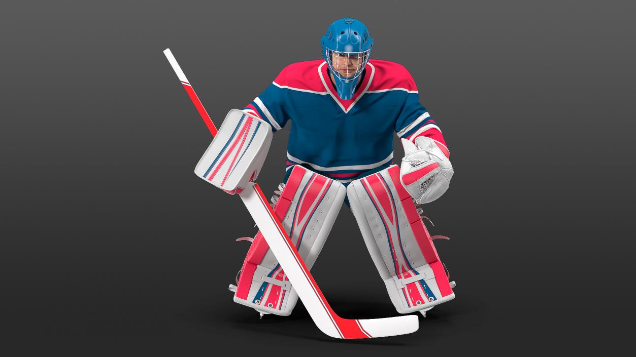 Hockey Goalkeeper Fully Equipped Rigged 3D model