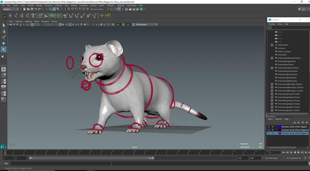 Ermine Mammal White Rigged for Maya 2 3D