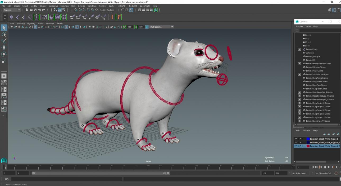 Ermine Mammal White Rigged for Maya 2 3D