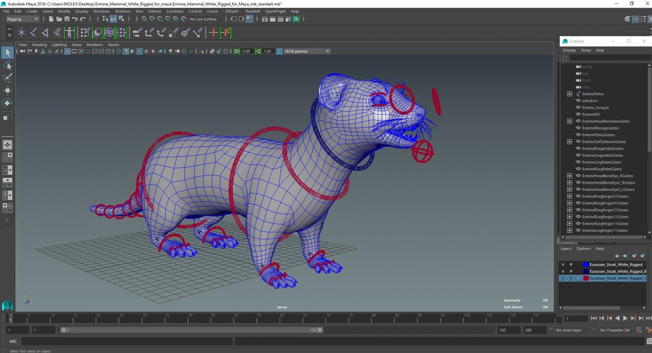 Ermine Mammal White Rigged for Maya 2 3D