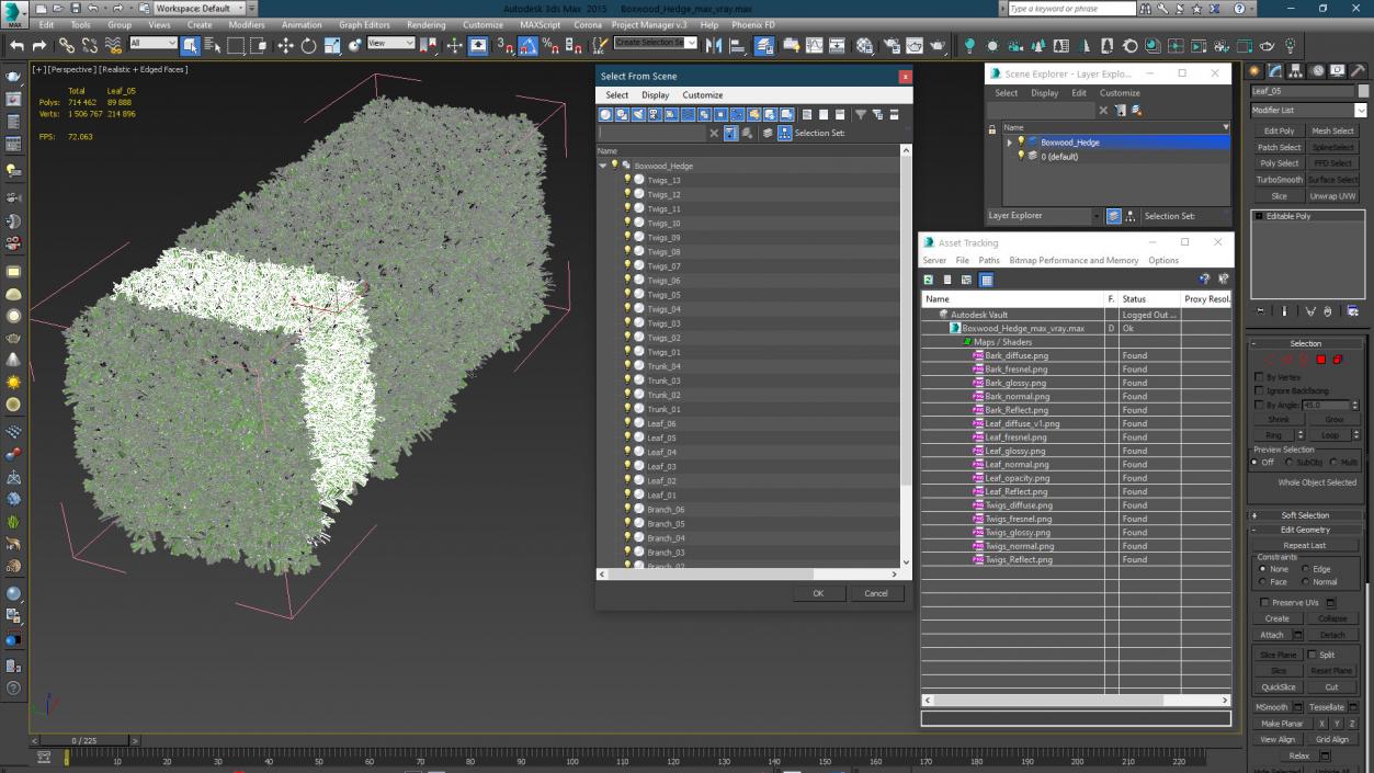 3D Boxwood Hedge model