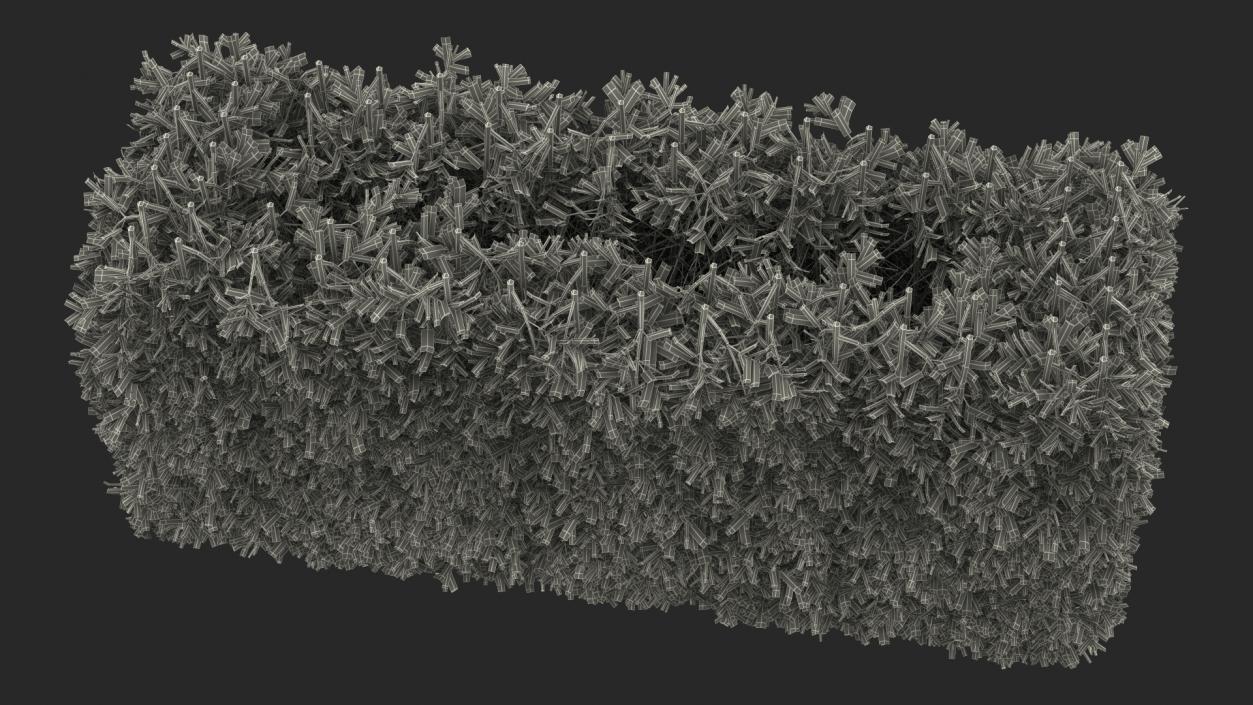 3D Boxwood Hedge model