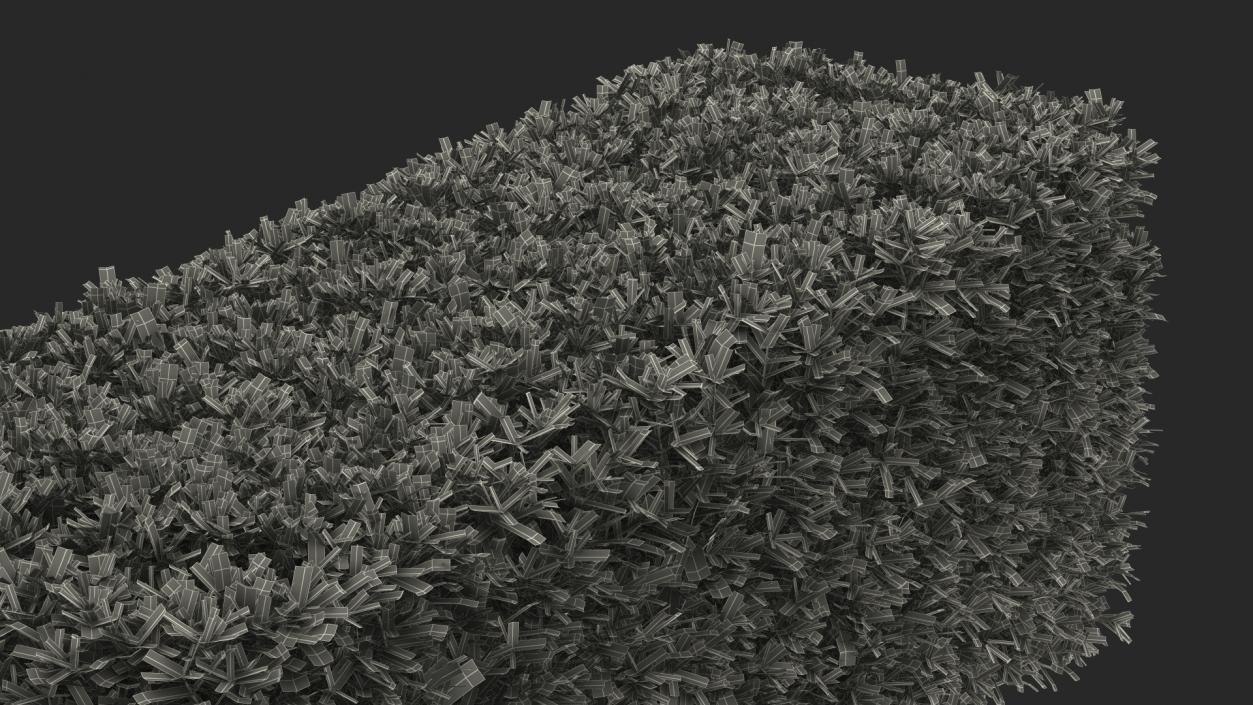 3D Boxwood Hedge model