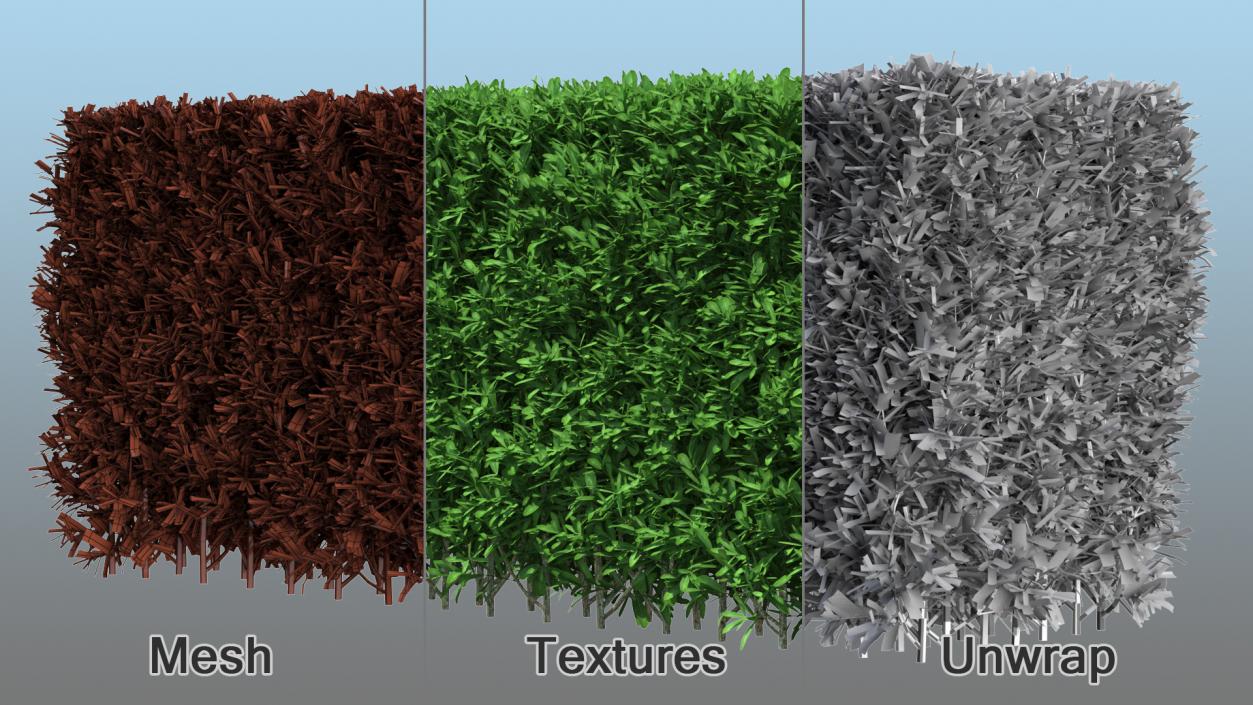 3D Boxwood Hedge model