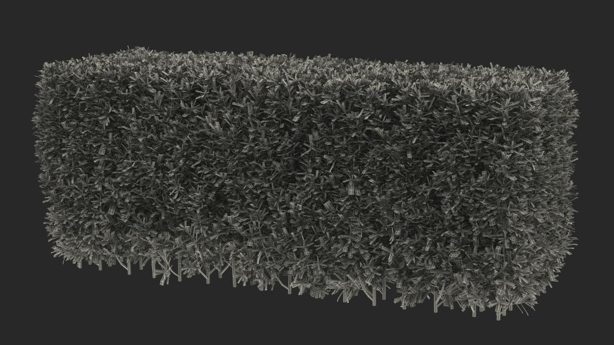 3D Boxwood Hedge model