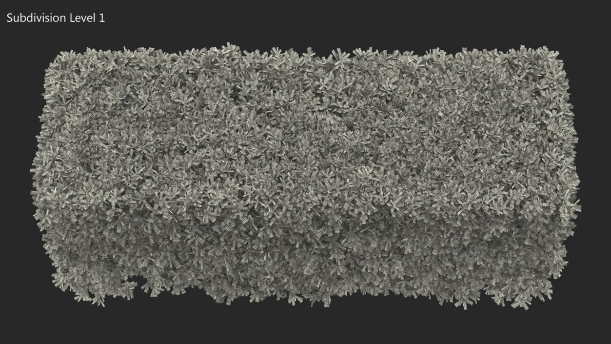 3D Boxwood Hedge model