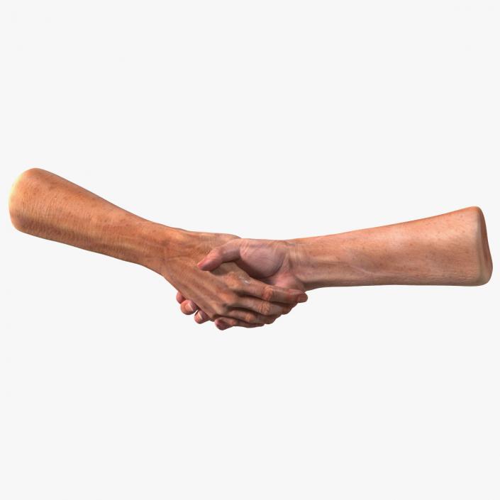 3D model Handshake Old Man Hands Rigged