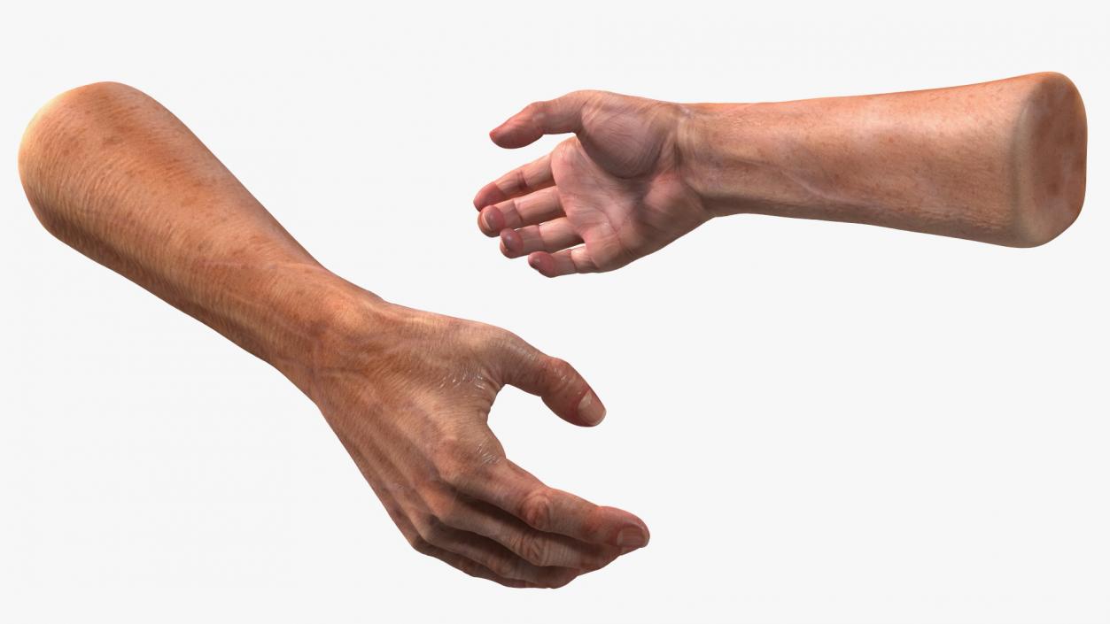 3D model Handshake Old Man Hands Rigged