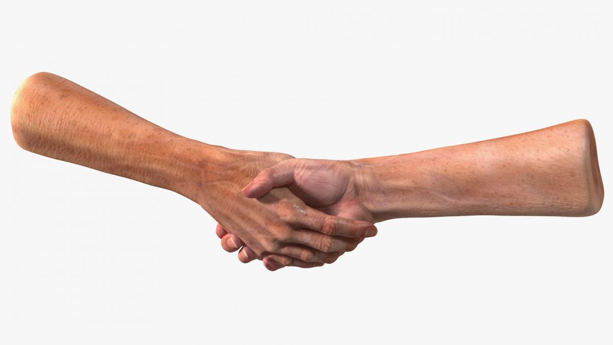 3D model Handshake Old Man Hands Rigged