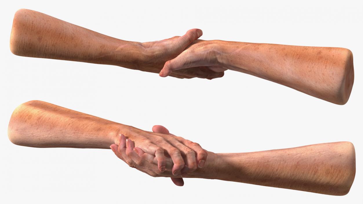 3D model Handshake Old Man Hands Rigged