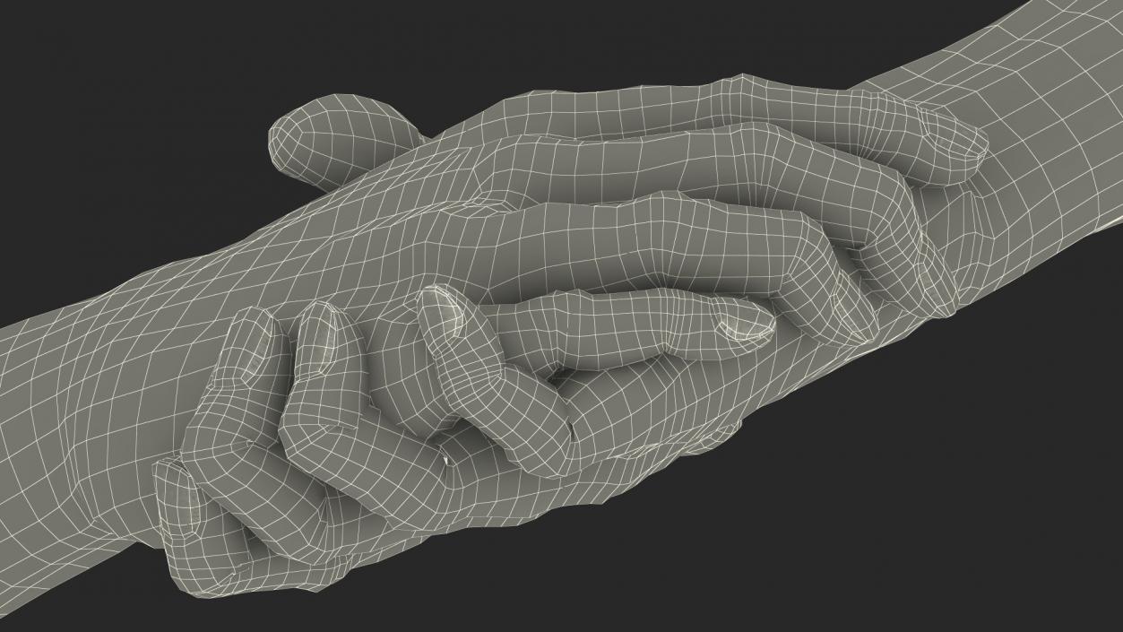 3D model Handshake Old Man Hands Rigged