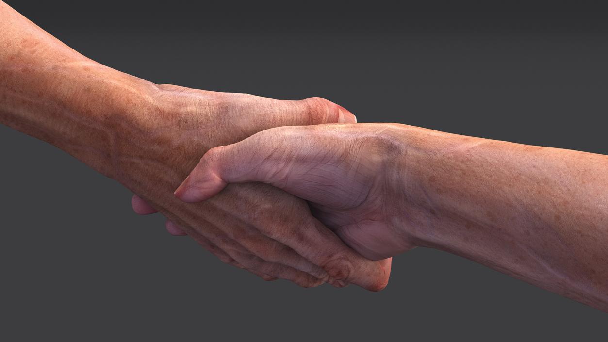 3D model Handshake Old Man Hands Rigged