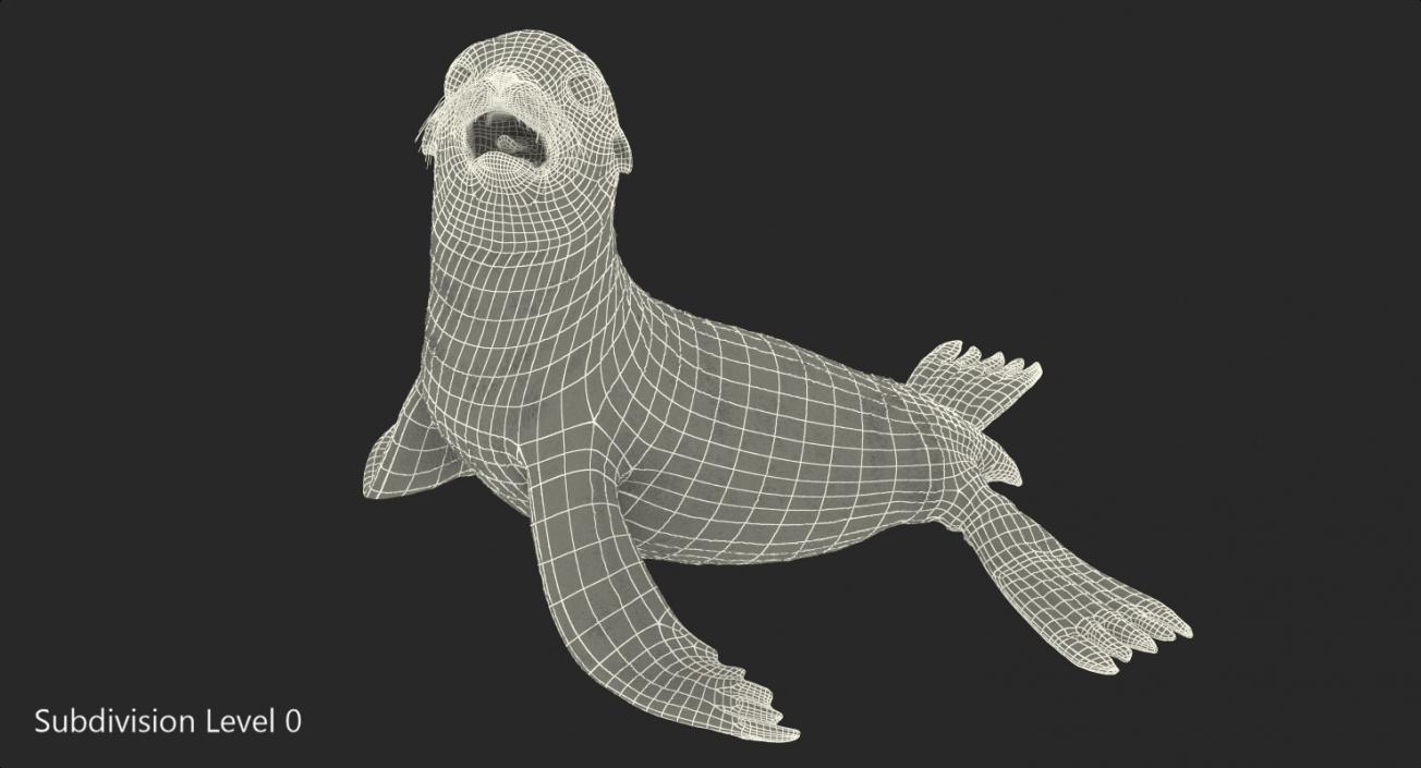 3D Baby Sea Lion Seating Pose