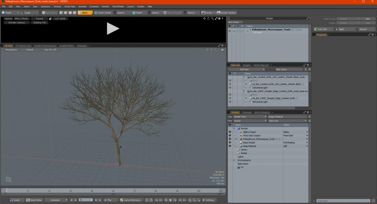 Peltophorum Pterocarpum Trunk 3D model