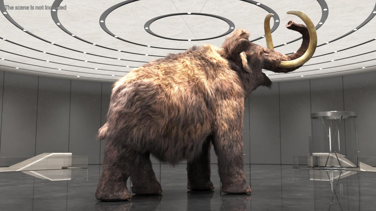 Mammoth Adult Roar Pose Fur 3D