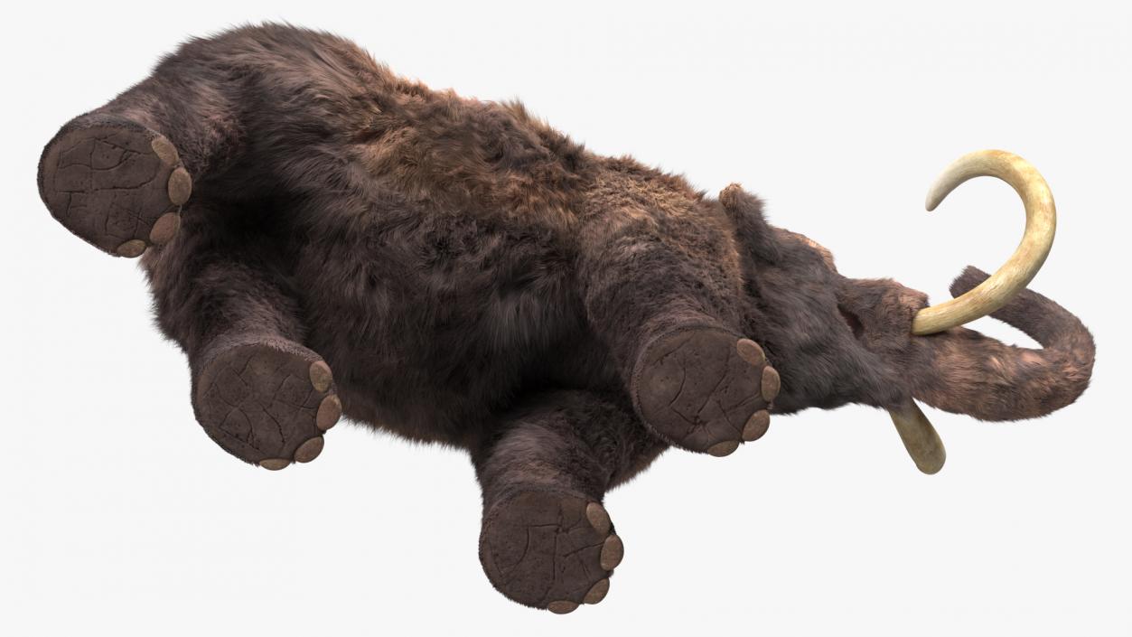 Mammoth Adult Roar Pose Fur 3D