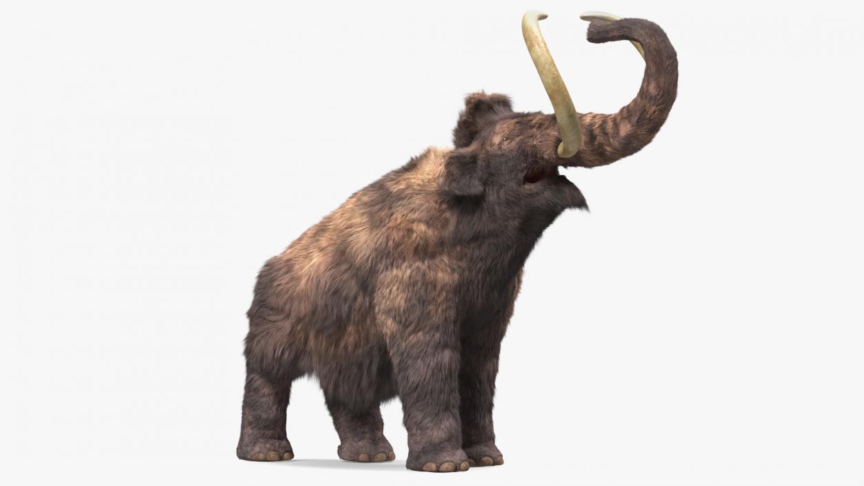 Mammoth Adult Roar Pose Fur 3D