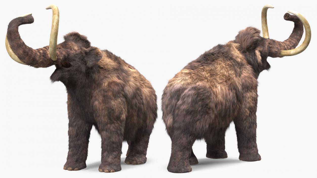 Mammoth Adult Roar Pose Fur 3D