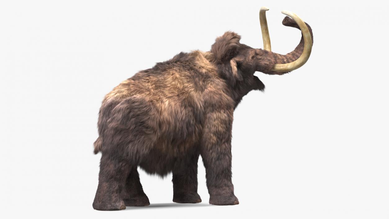 Mammoth Adult Roar Pose Fur 3D