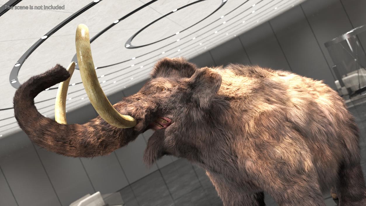 Mammoth Adult Roar Pose Fur 3D