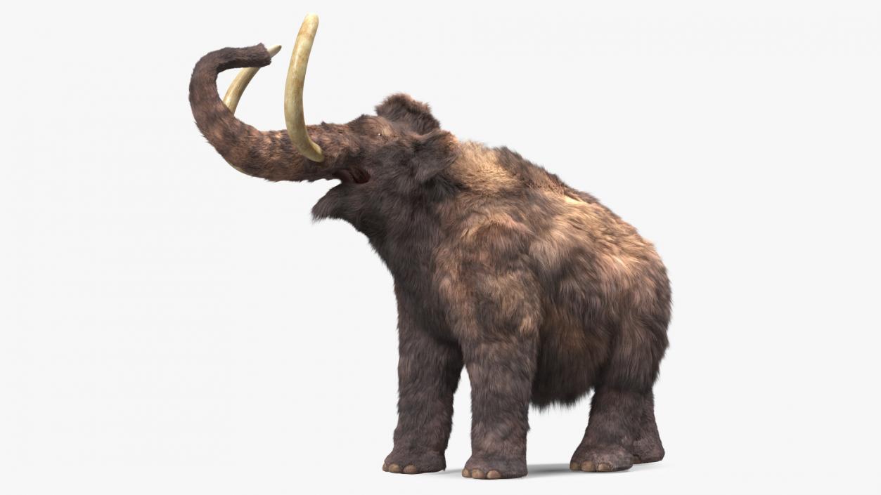 Mammoth Adult Roar Pose Fur 3D