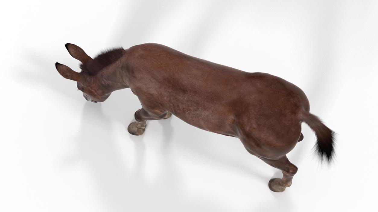 3D model Eating Mule Dark Fur