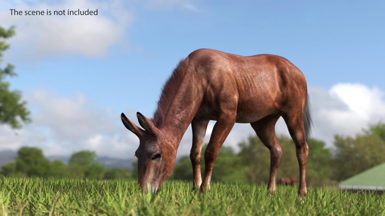 3D model Eating Mule Dark Fur