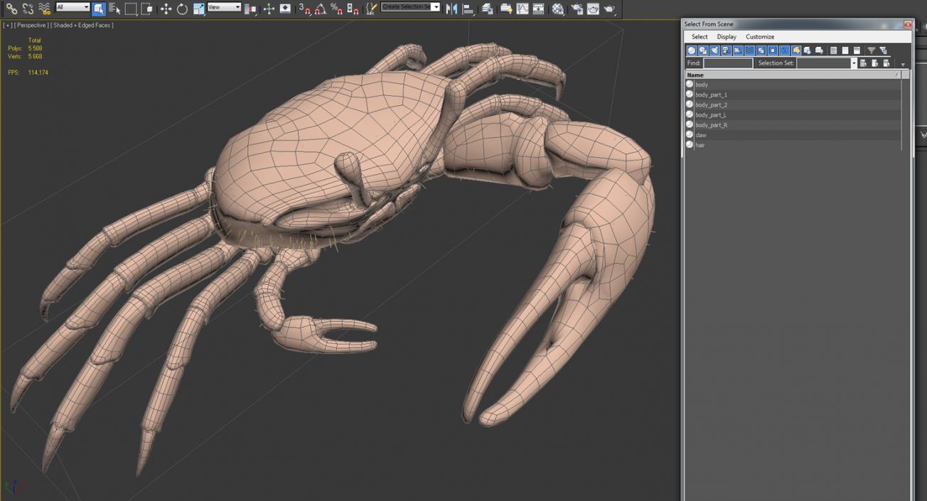 3D Fiddler Crab with Fur