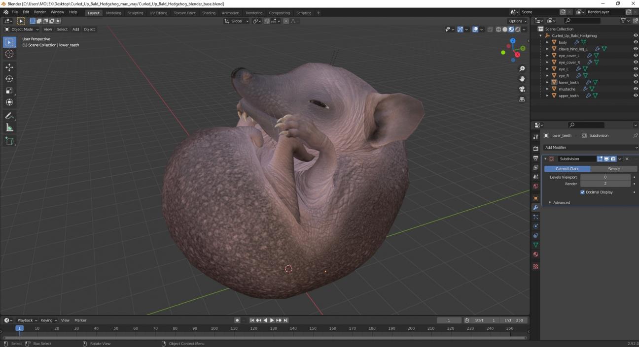 3D Curled Up Bald Hedgehog model