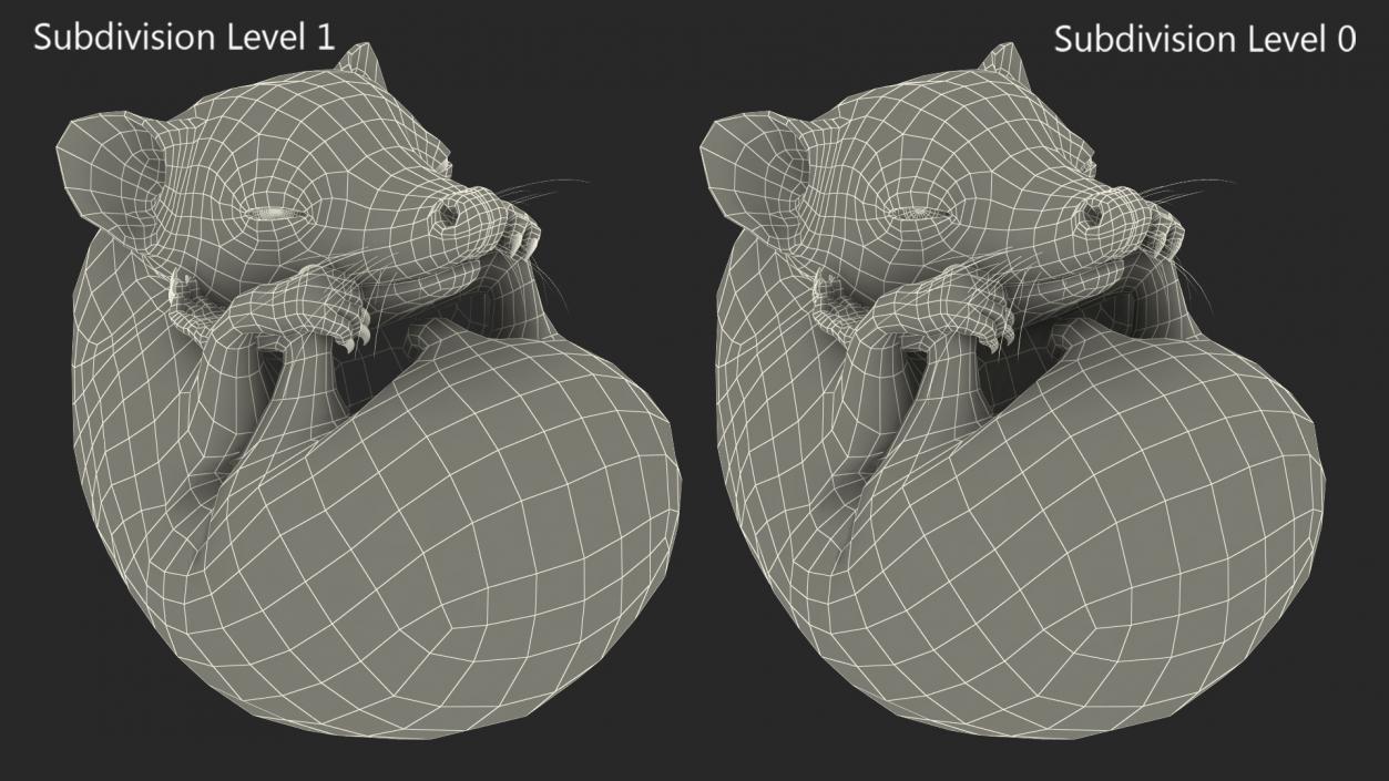 3D Curled Up Bald Hedgehog model